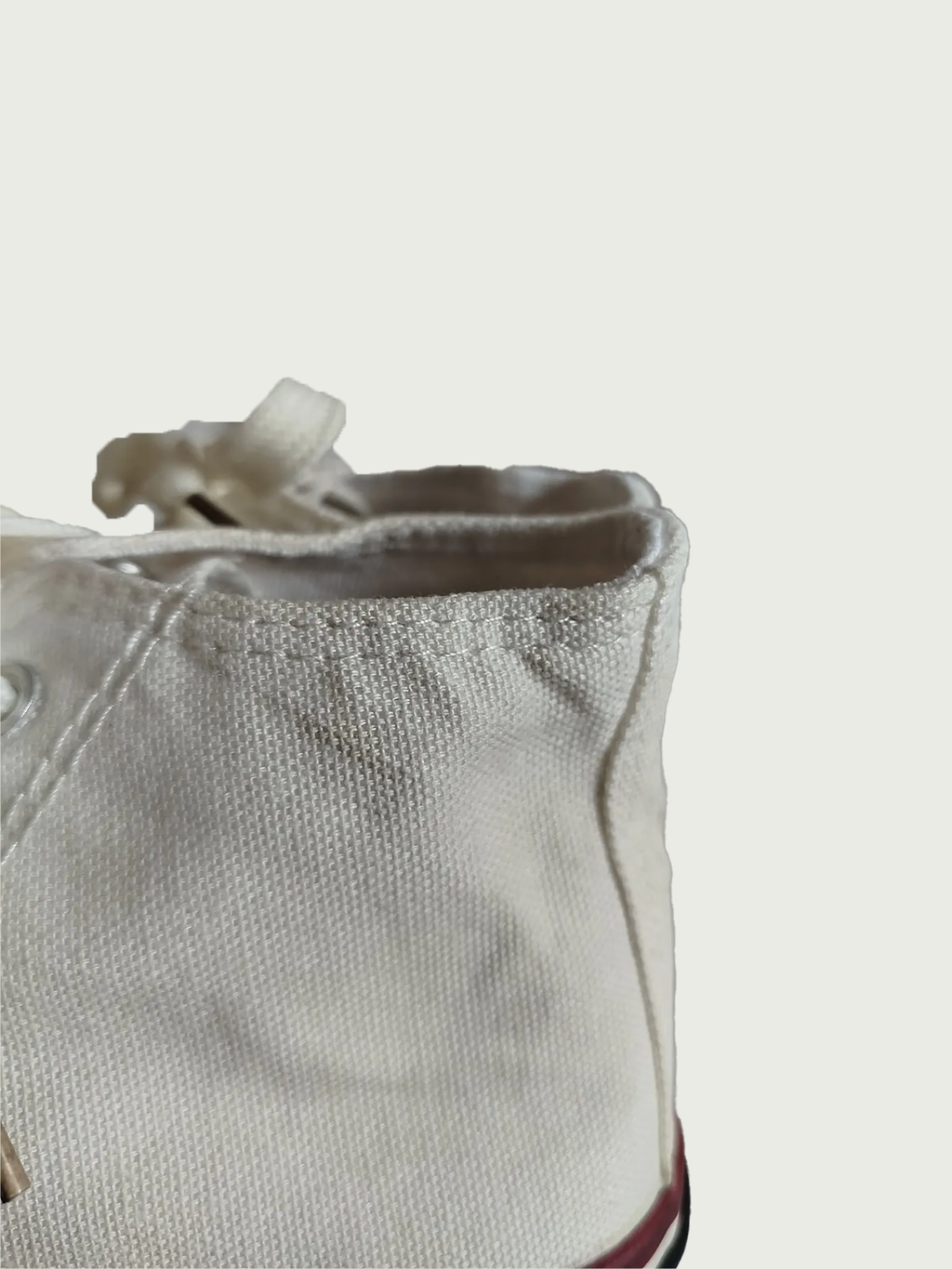 High Neck Canvas Sneaker