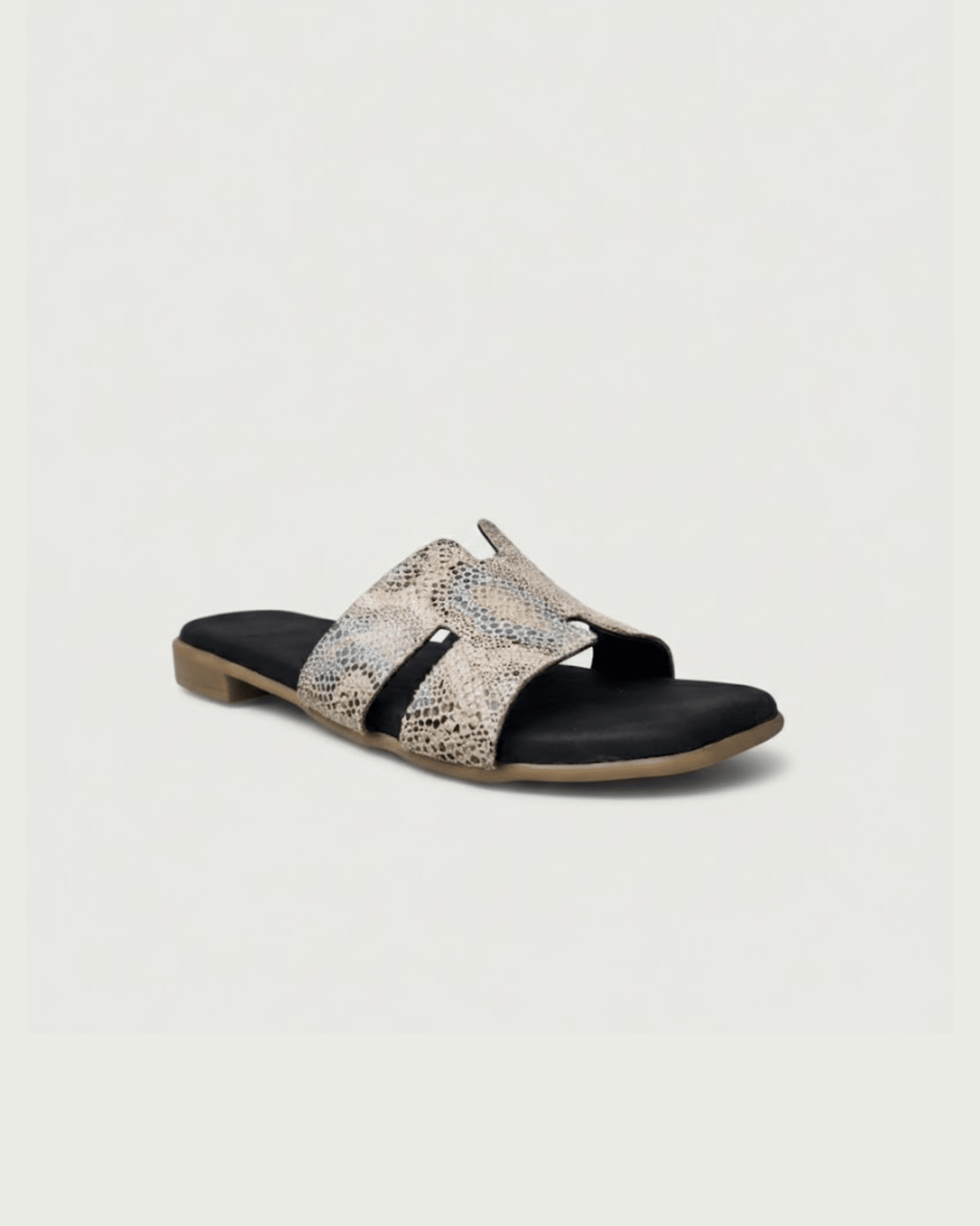 Naaz Mode - Women Genuine Leather Sandal - BlackBole