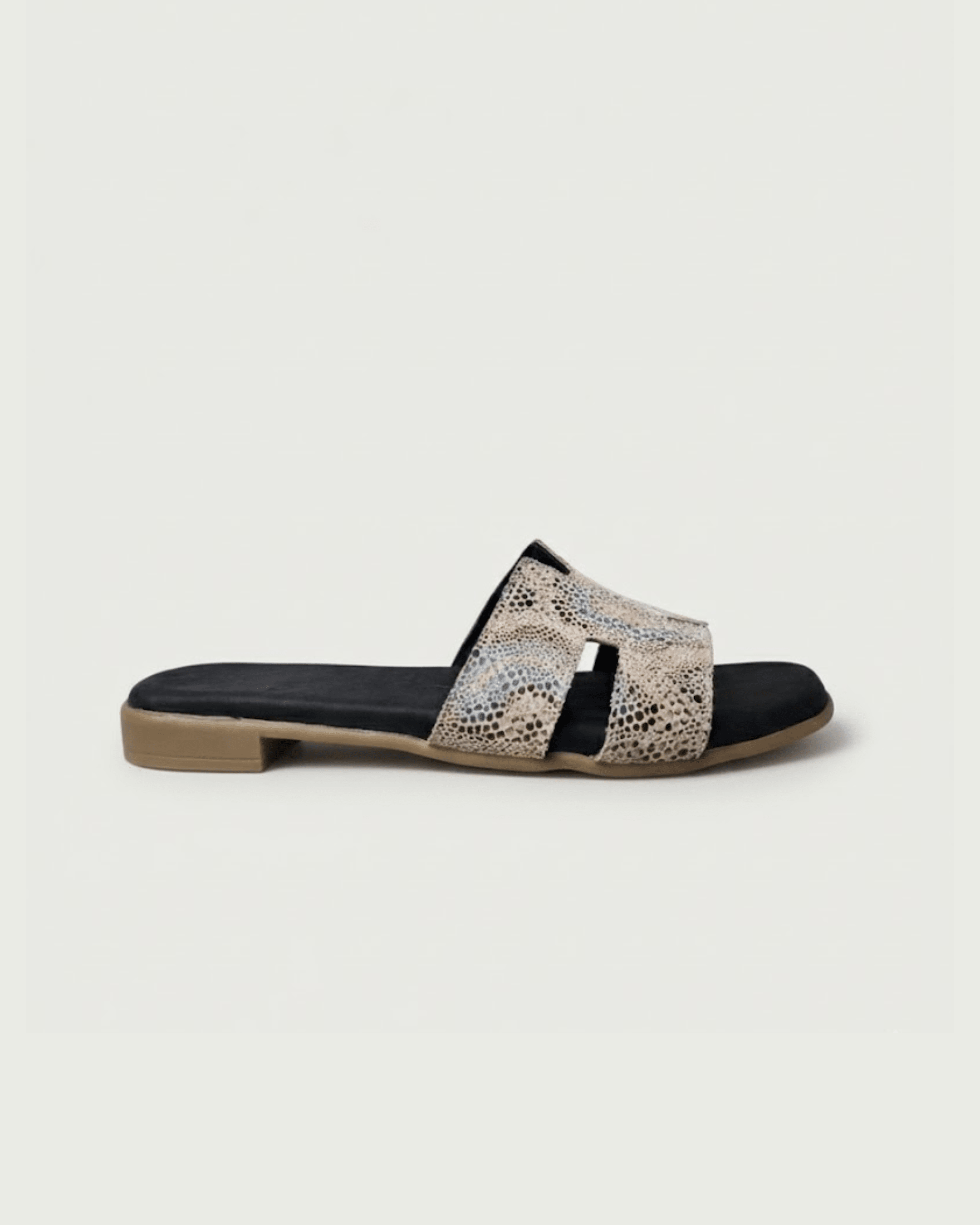 Naaz Mode - Women Genuine Leather Sandal - BlackBole